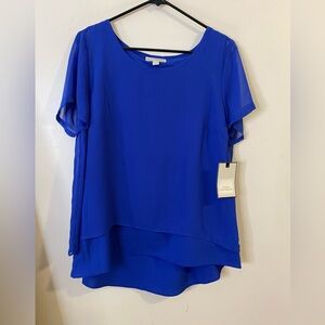 Dana Buchman Royal Blue Formal Sheer Flowy Blouse size Large NWT